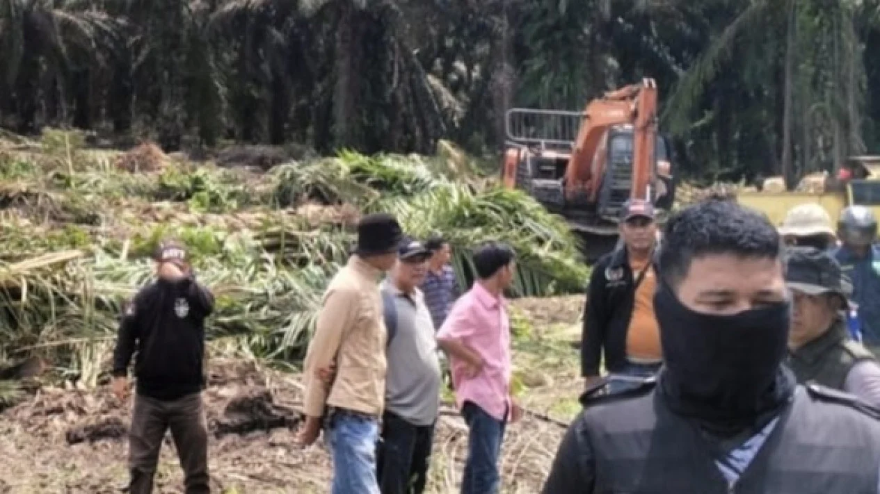 Kasus Penyerobotan Lahan Negara untuk Kelapa Sawit