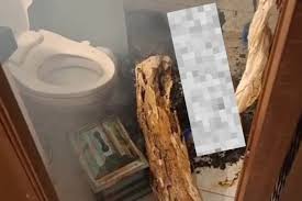 Kasus Pria Denpasar Tewas Terbakar di Kamar Mandi, Diduga Dibunuh