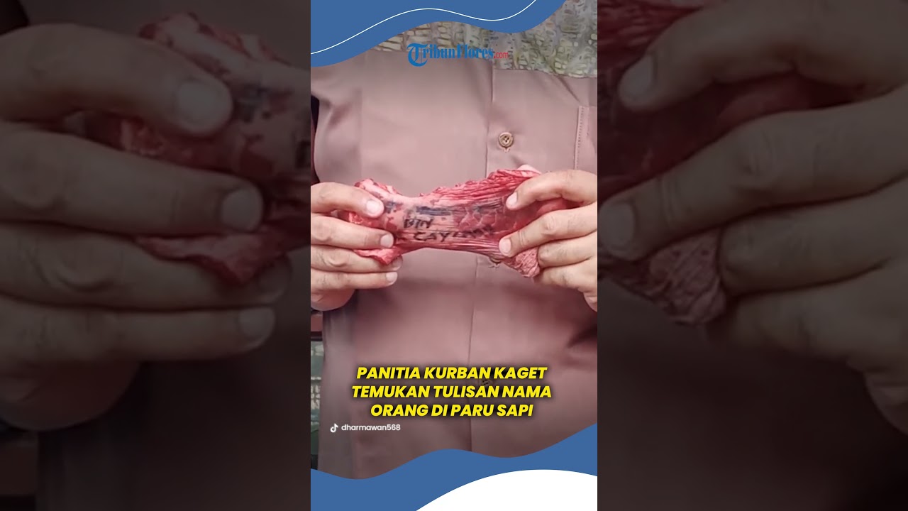 Misteri Paru Sapi Bertuliskan Nama Pekurban