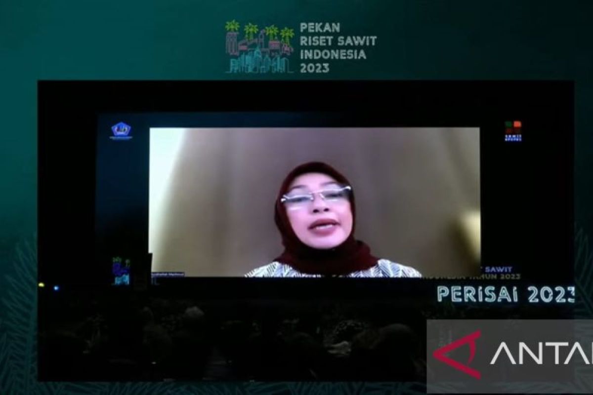 Kemendag Siapkan Strategi Hadapi Implementasi EUDR di Indonesia