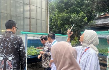 Lahan Hidroponik Vertikal Cilandak Ladang Farm Hasilkan 2 Ton Sayuran Bulanan