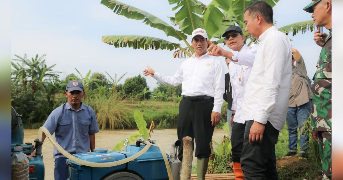 Mentan Sediakan Bantuan Pompanisasi untuk Sawah Terendam di Maros