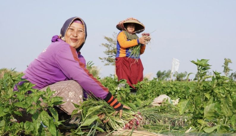 Pengaruh Bawang Merah dan Beras terhadap Inflasi Tahunan 2,31%