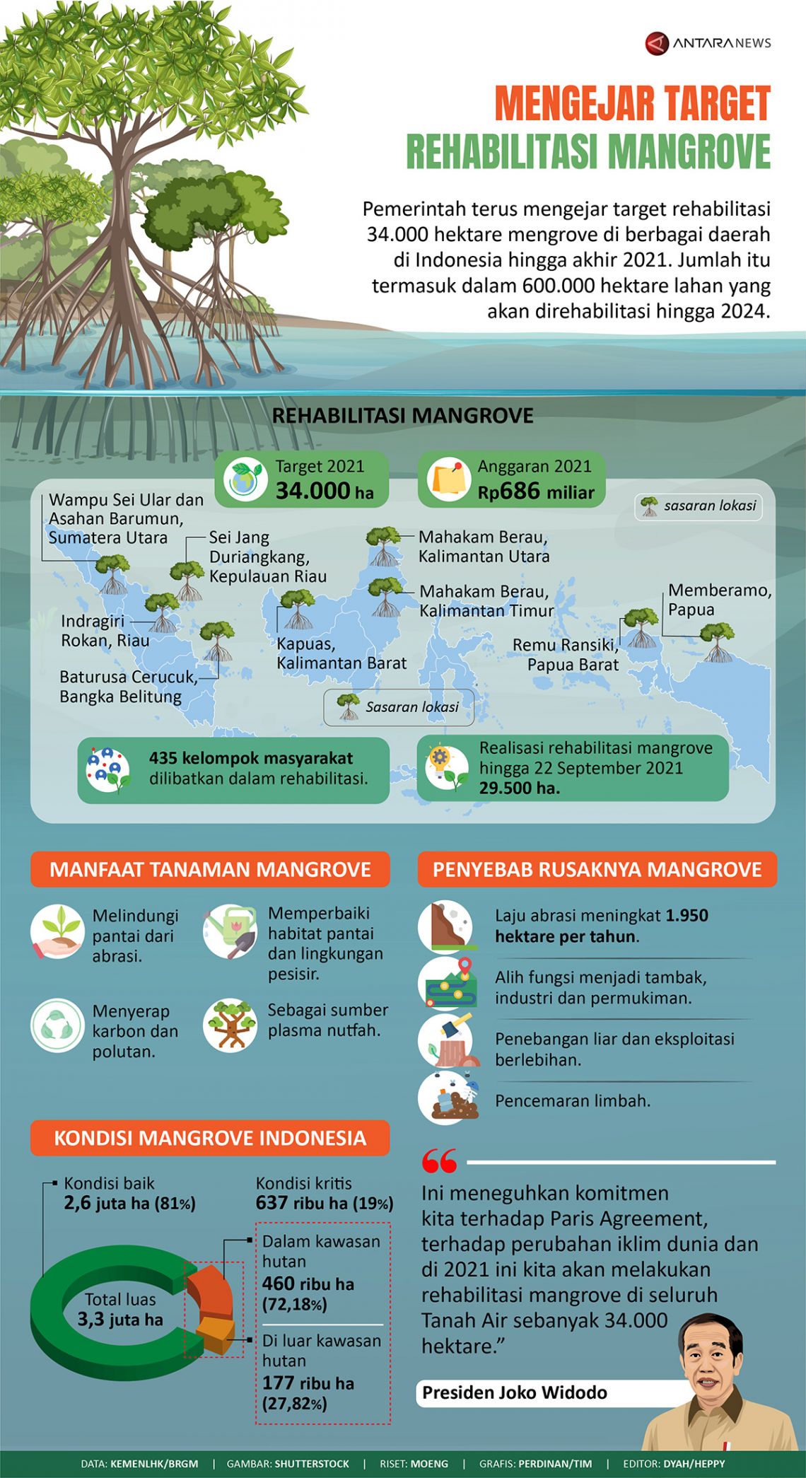 Rancangan Zonasi Pemerintah untuk Rehabilitasi Mangrove di Indonesia