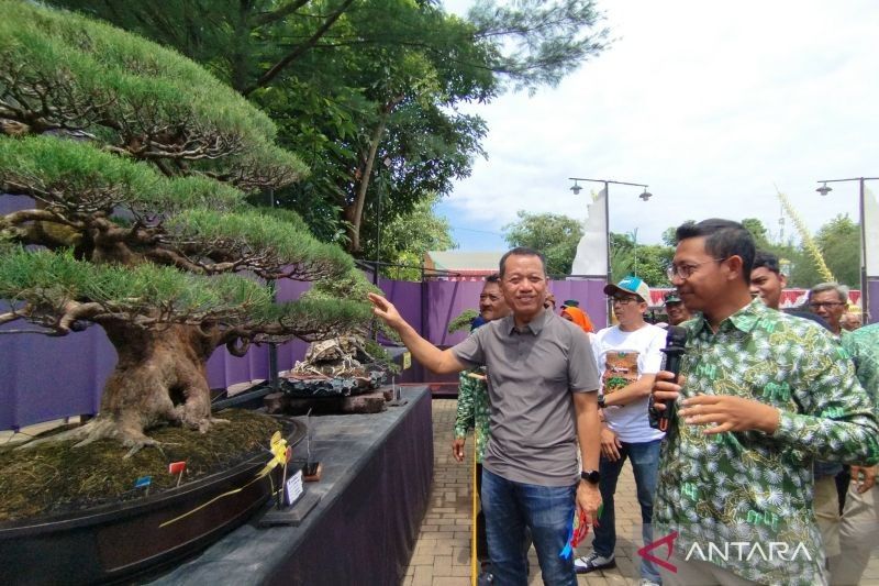 Ragam 555 Bonsai dari Berbagai Daerah Ramaikan Pameran di Kudus